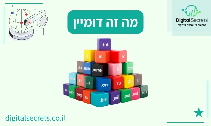 מה זה דומיין