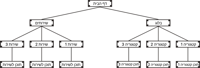 תהליך בניית אתר 4 דוגמא למפת אתר