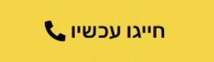 כפתור ראשי - בניית אתר בתחום הרכב