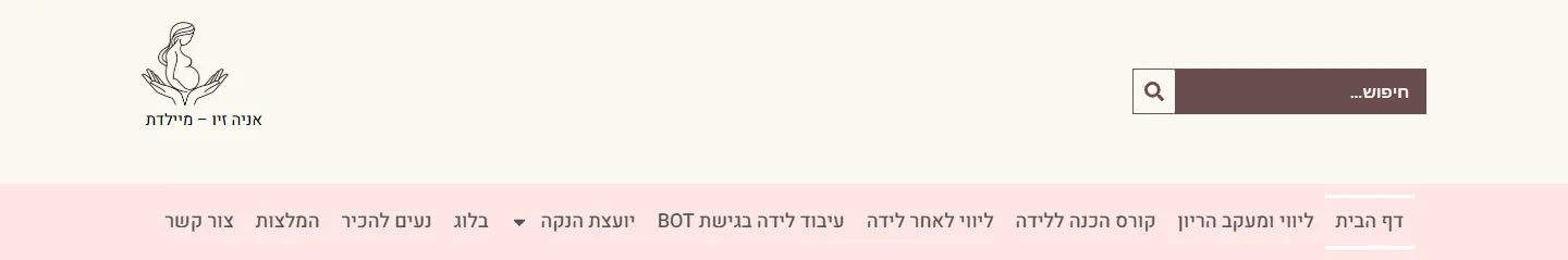 הדר מחשב עם לוגו, חיפוש וסרגל ניווט בורוד פודרה, אתר מיילדת אניה זיו