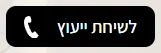 הכפתור הראשי לשיחת ייעוץ - דף נחיתה Castlia